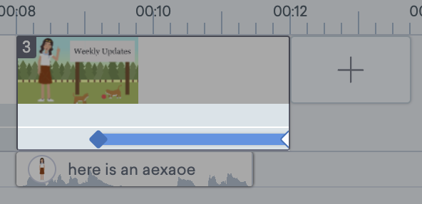 zoomcameratimelineslider.png